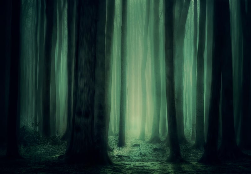 Mystic woodland realms