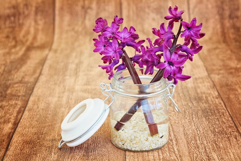 Gardening Crafts