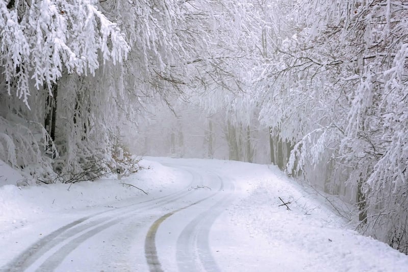 Winter Snow